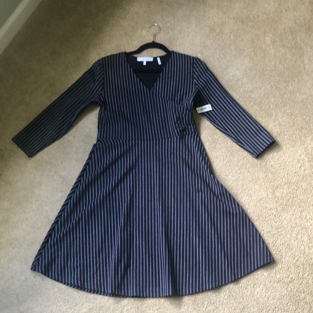 Lark & Ro navy pinstripe dress